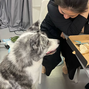 Margaret Dance Workshop Studio 日常