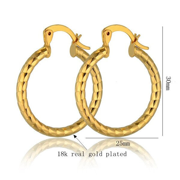 Thumbnail: Creole Hoop Earrings for Women