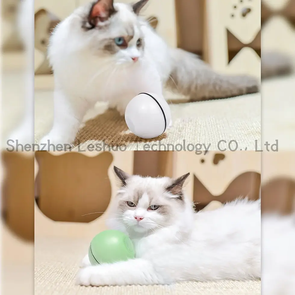 Thumbnail: USB Charge Cat Toys Automatic Scrolling Cat Ball