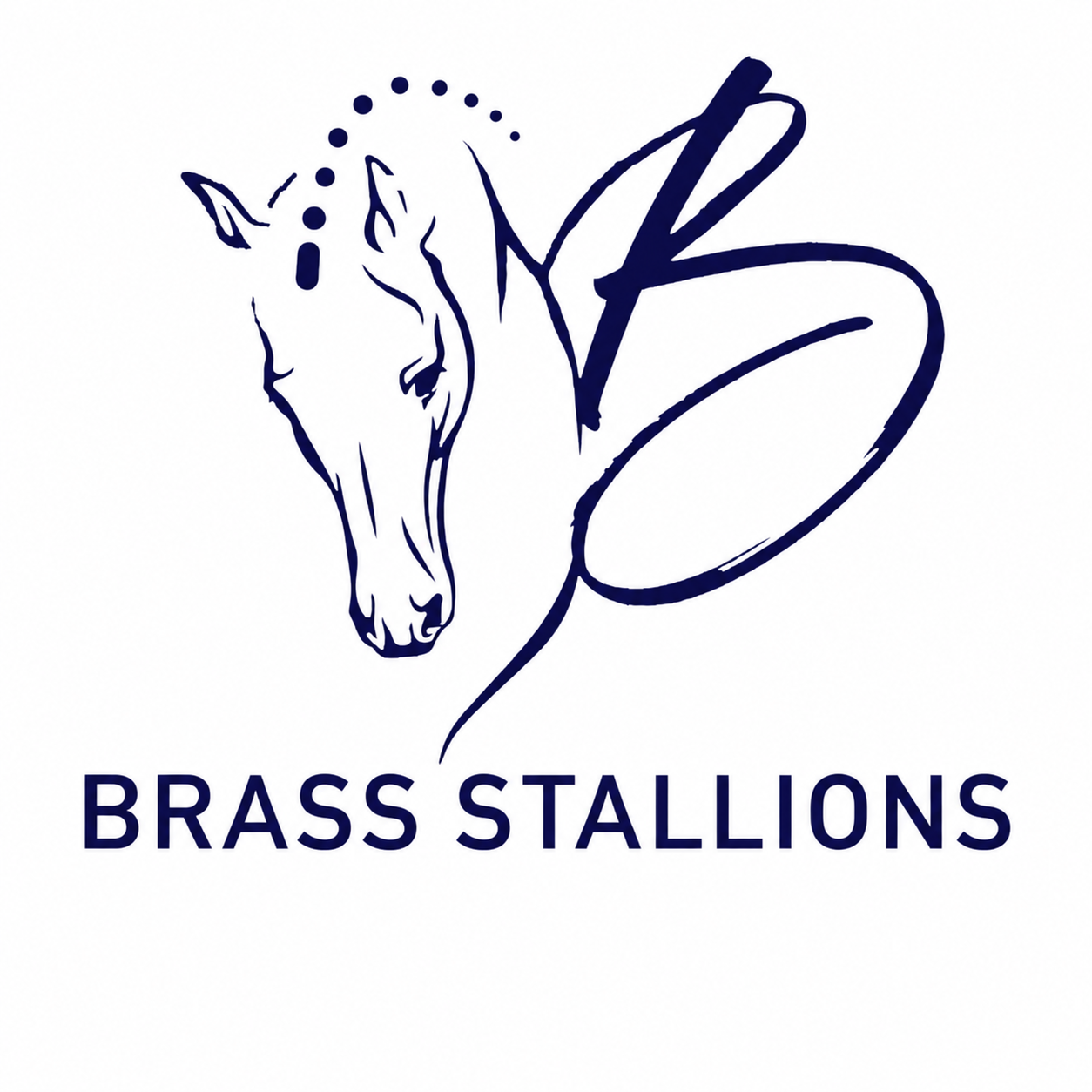 Two Urianto sons feature in BWP foal championship finals