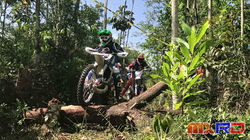 Enduro interno AVM
