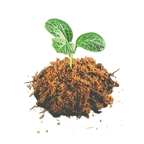 Untitled design (2).png