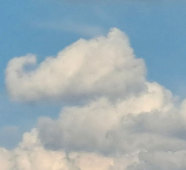 clouds_edited_edited.jpg