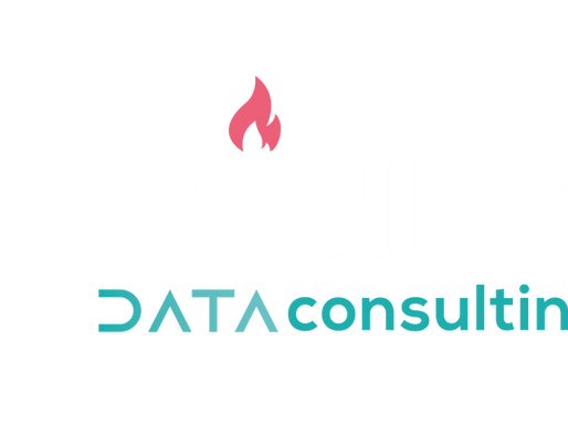NOVO ASSOCIADO – IGNIUM CONSULTING