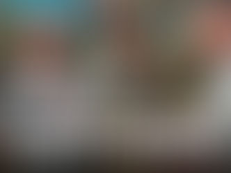 Steadicam caseiro custo zero! 🤑