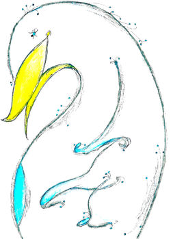 "The Lonely Little Quzer"