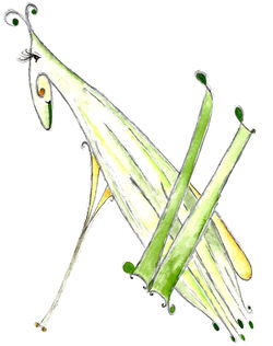 "My Far Away Place Called Home"