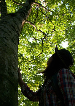 daisen-07_edited.jpg