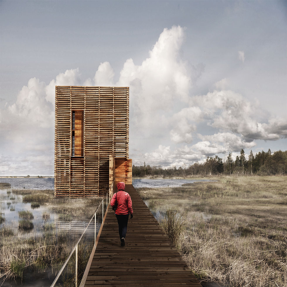 PAPE BIRD - APPROACH.jpg