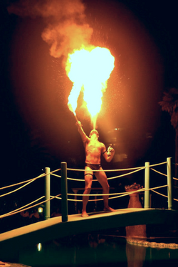 Nicola Sputafuoco