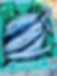 IMG_9601.jpeg
