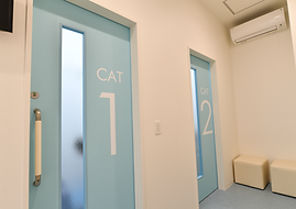ねこ診察0.png