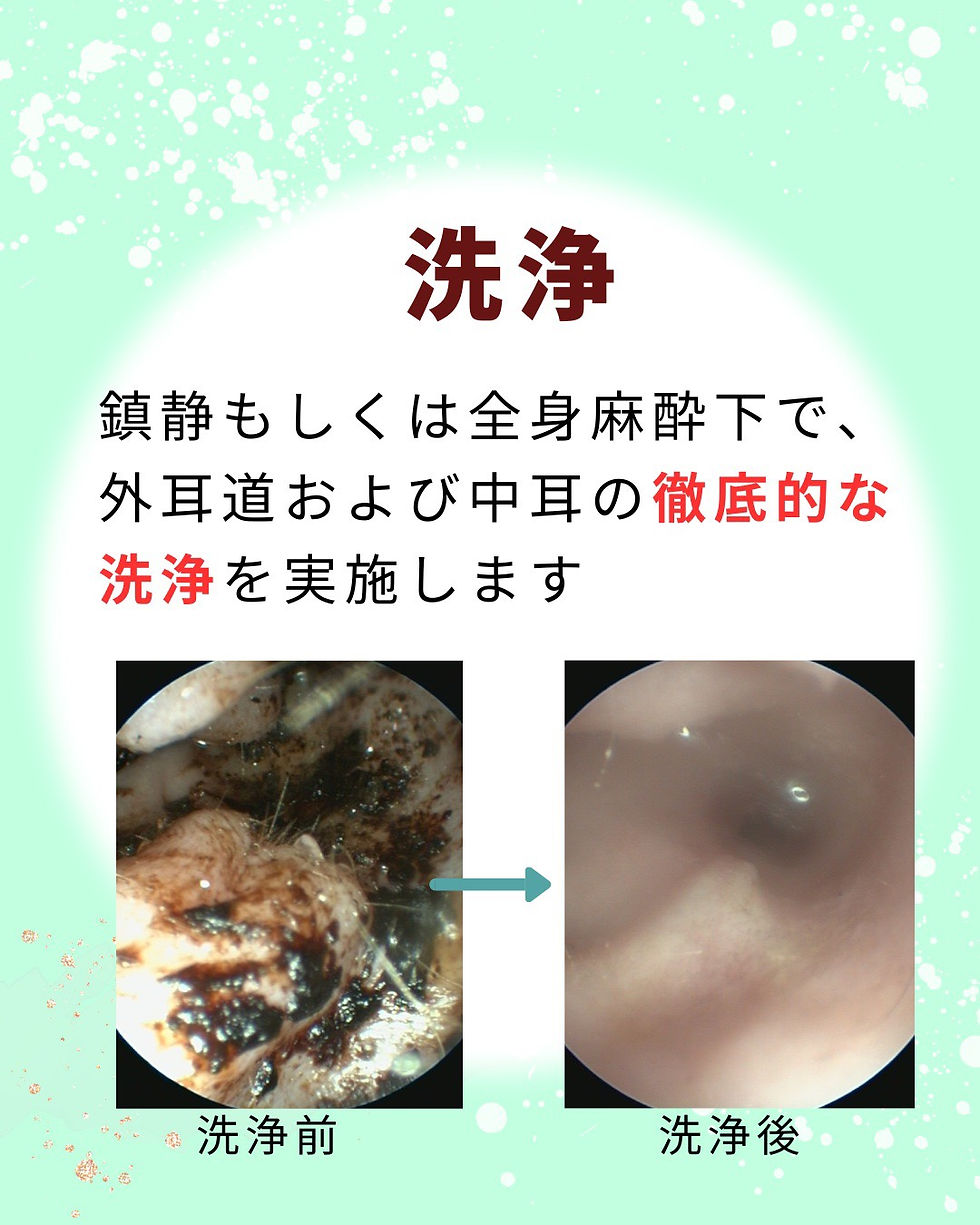 S__78315532.jpg