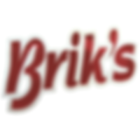 logo briks