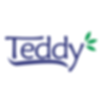 logo teddy