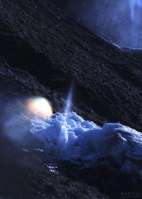 Photography by Vilde Dyrnes Ulriksen