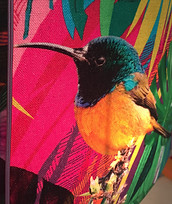 Abat-jour oiseau