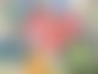 夏のカード ワークショップ