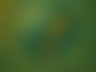 The Power of the Whole Picture