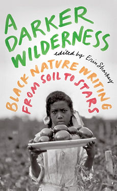 ADarkerWildernessBookCover.jpeg
