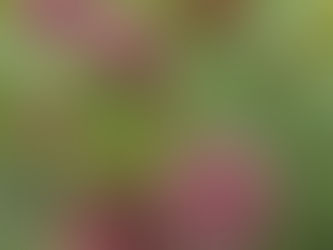 Picture-perfect nature