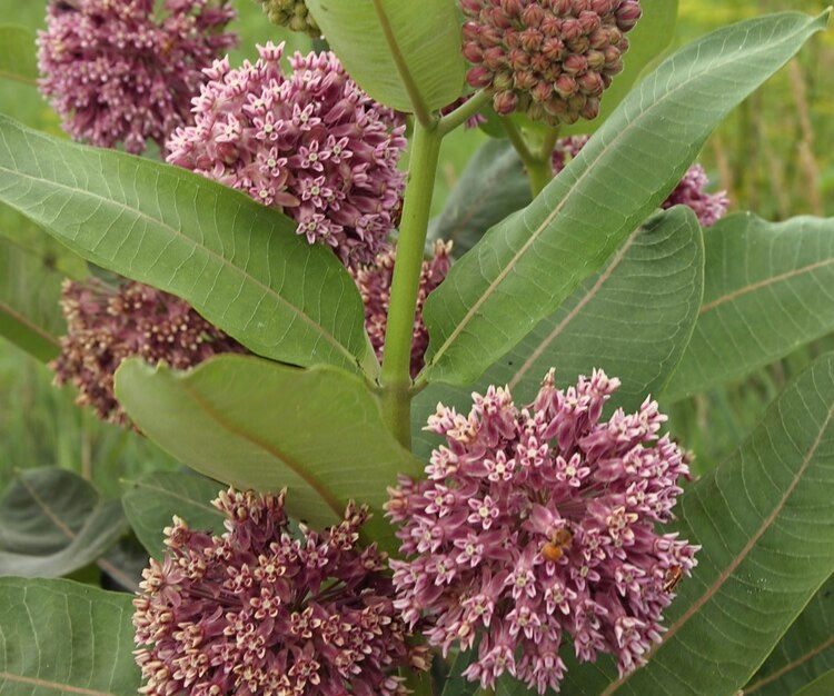 Picture-perfect nature