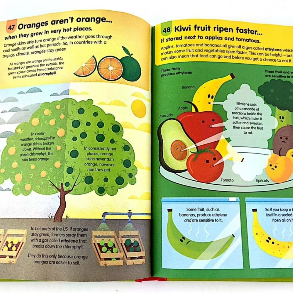 Thumbnail: *Hard Cover* Usborne 100 things to Know Series 