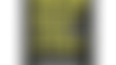 Book Summary: Finish What you Start by PETER HOLLINS