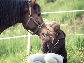 Hestefasilitert psykoterapi som en tilleggsbehandling for pasienter med psykiske lidelser og/eller rusmiddelproblemer: En observasjonsstudie av behandlingsutfall.
