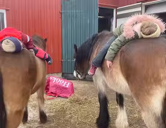 Foto: Stallen Grønsand Mestringssenter