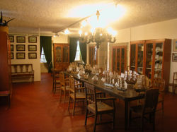 DSCN8501