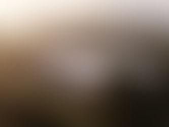 Nadyavrat Farms, Delhi - Architecture and Interior Design - Unox design delhi