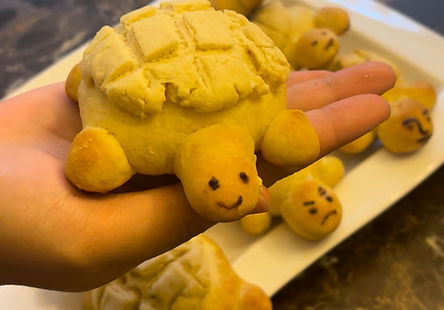 Japanese Melon Pan Turtles