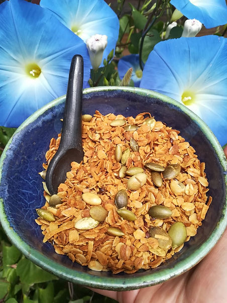 granola 1.jpeg