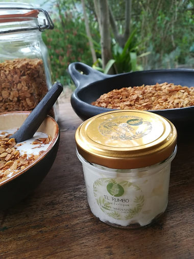 granola 2.jpeg