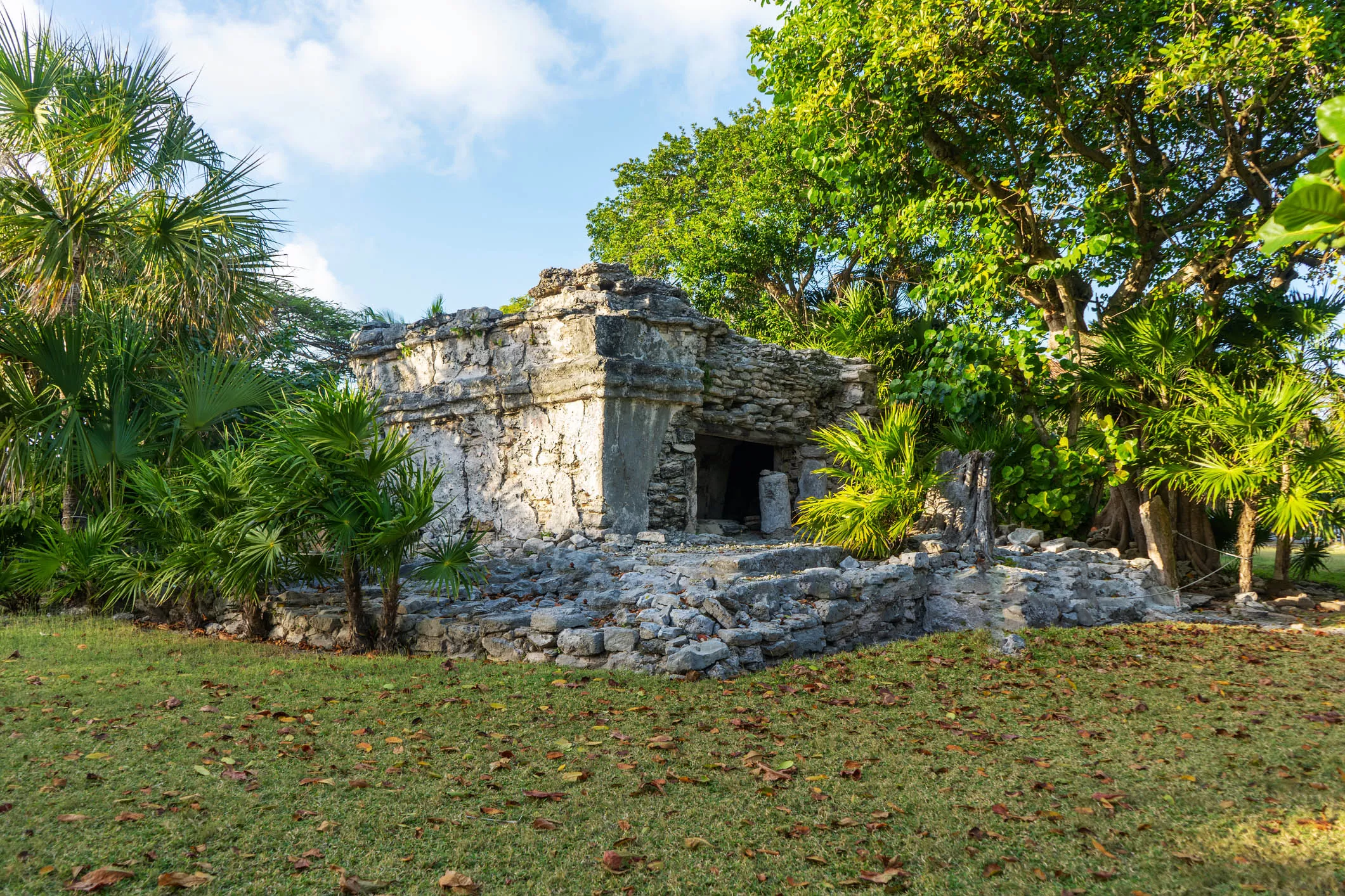 ruinas-xaman-ha-playa-del-carmen-playacar-viva-playa.webp