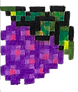 graope.png