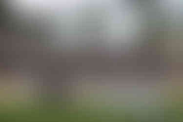 Norway Little League team at Marion Park baseball field