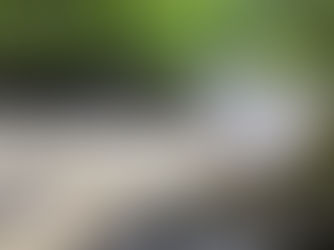 LaSalle Falls Waterfall