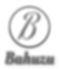 bahuzu (1).png
