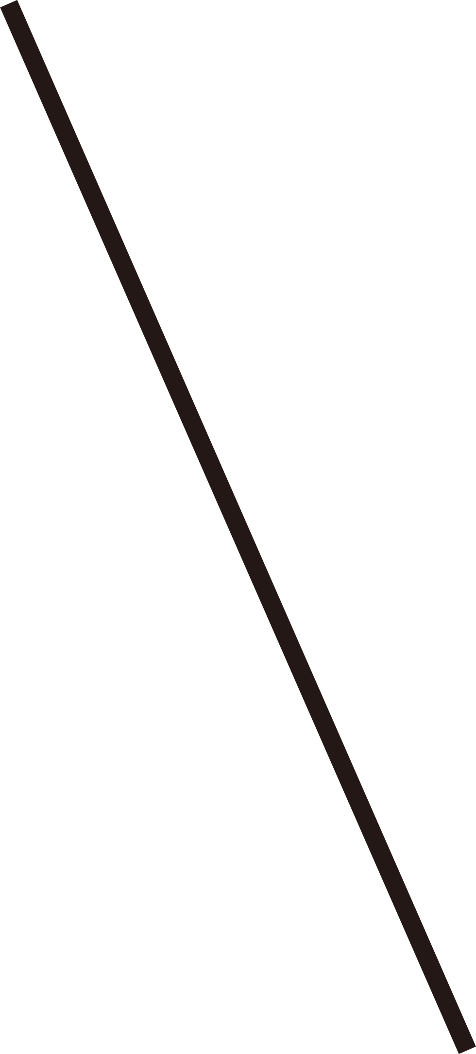 アセット 4.png