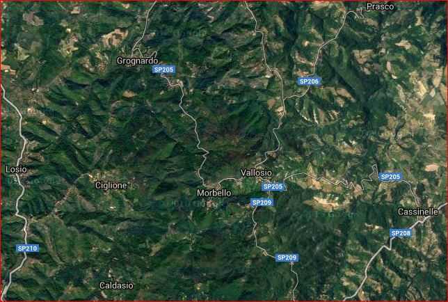 percorso_foresta
