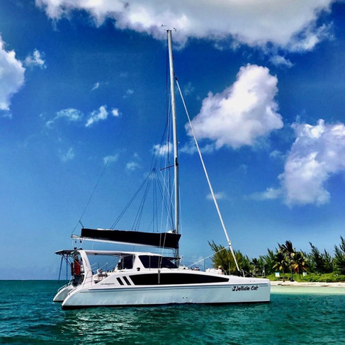 seawind-1160-4-800x800-1.jpeg