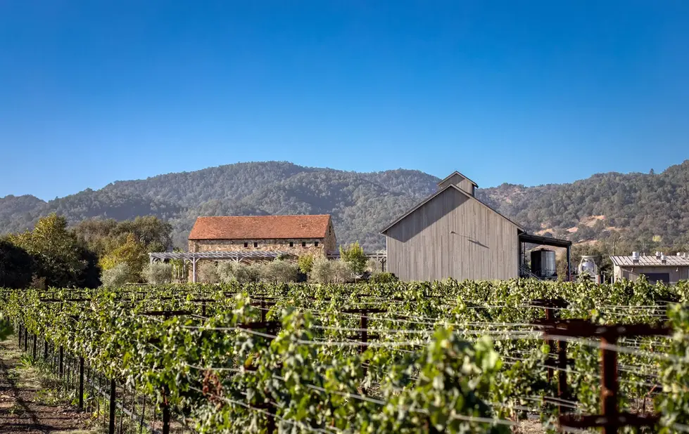 Mira-from-the-Vineyard-Oct-2020