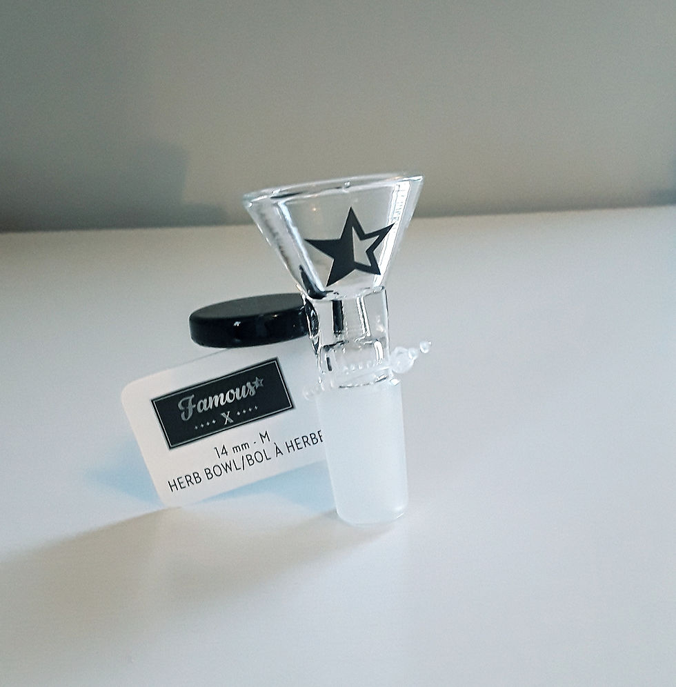 Famous X Glass 14mm Male Bong Bowl Slide