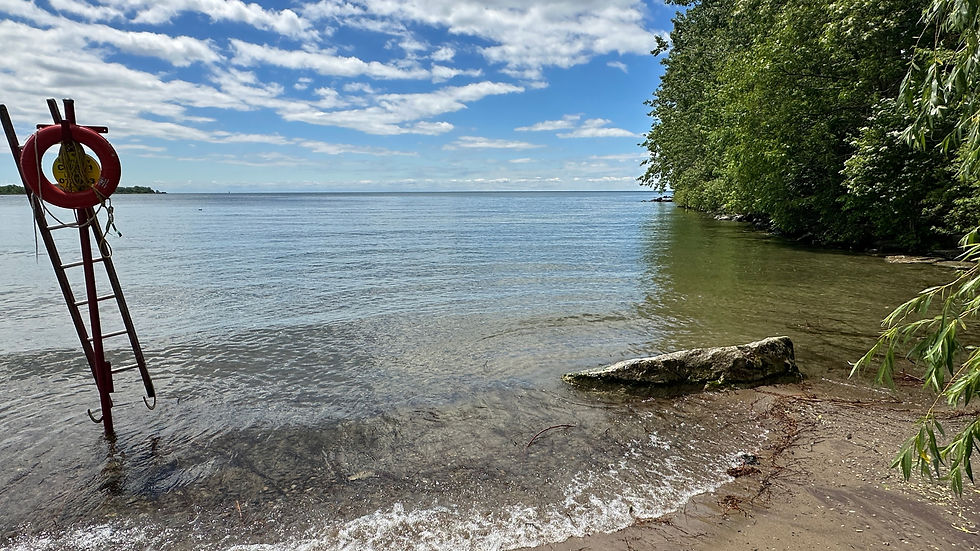 Nook of Ward’s Beach, otherwise quite long and narrow.