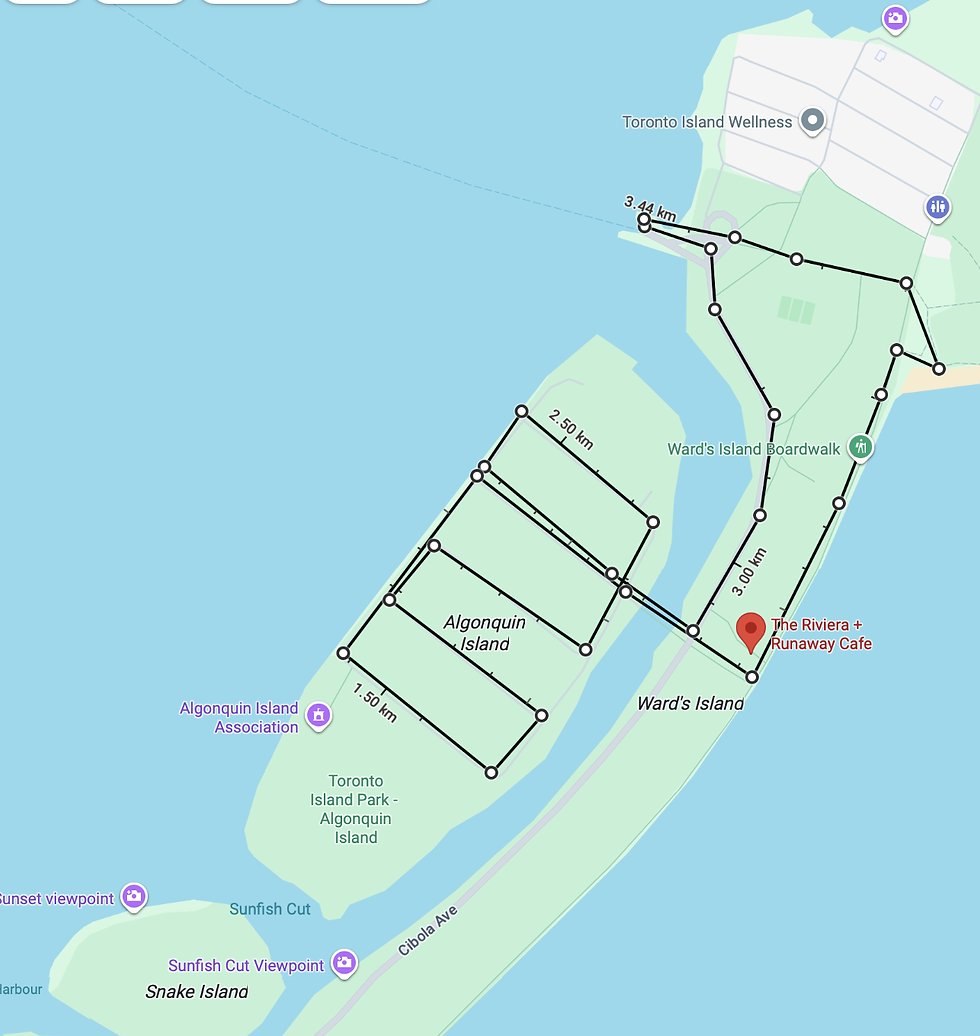 The 3.5 km circuit I did around Ward's Island and Algonquin Island.