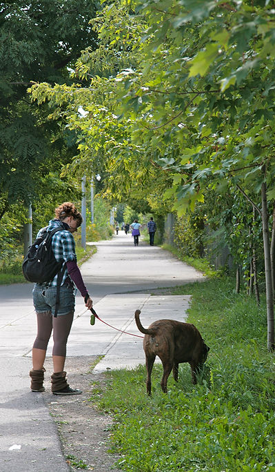 Walk 18 West Toronto Railpath Stroll 1