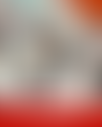 Ercan’da "İzciliğin İzi" sergisi