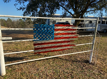 This is one of Apex Metal Works signature builds an aluminum CNC milled, hand painted and finished flag built to weather any